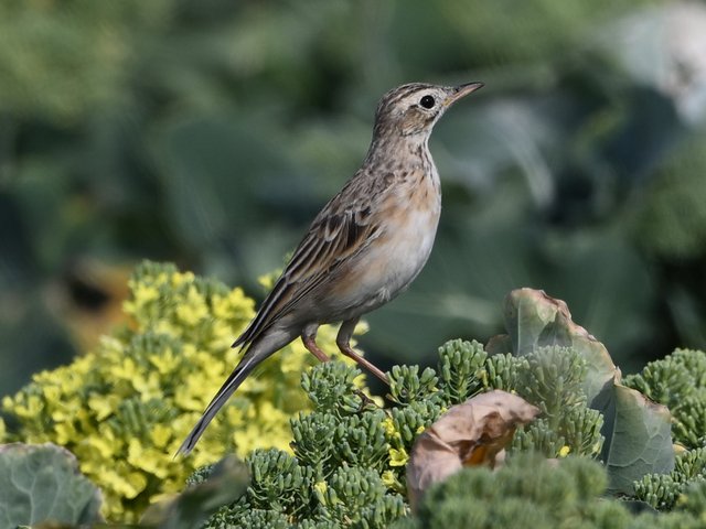 �}�~�W���^�q�o��